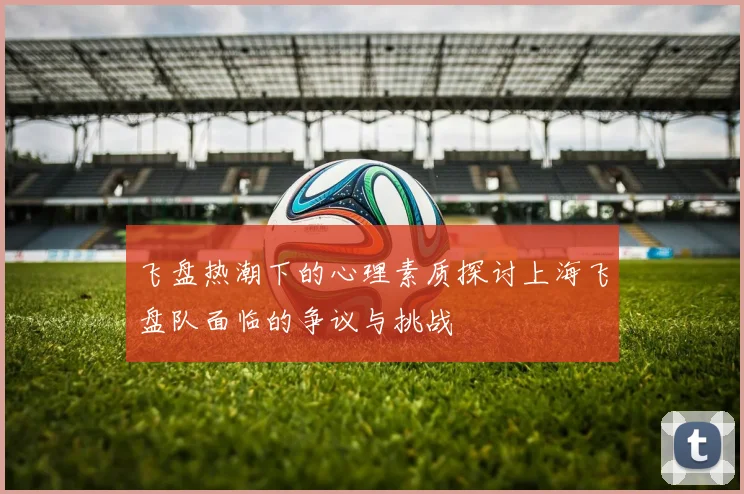 飞盘热潮下的心理素质探讨上海飞盘队面临的争议与挑战