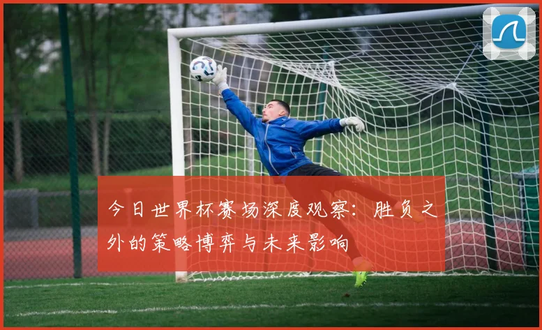 今日世界杯赛场深度观察：胜负之外的策略博弈与未来影响