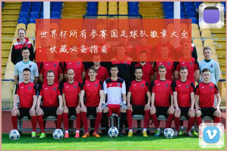 世界杯所有参赛国足球队徽章大全：收藏必备指南