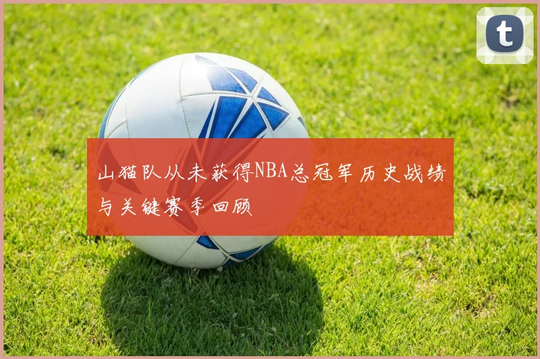 山猫队从未获得NBA总冠军历史战绩与关键赛季回顾