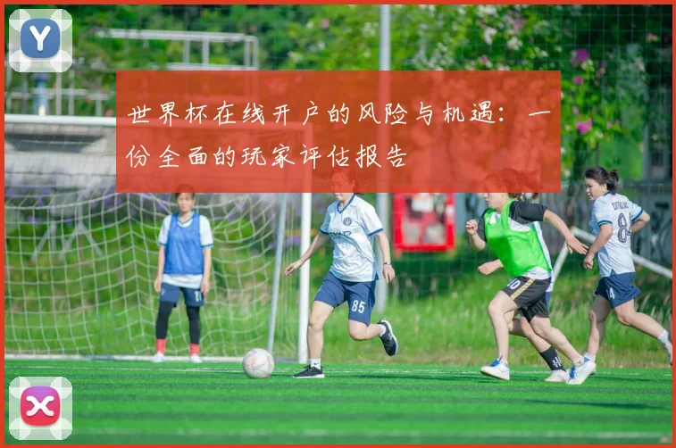 世界杯在线开户的风险与机遇：一份全面的玩家评估报告