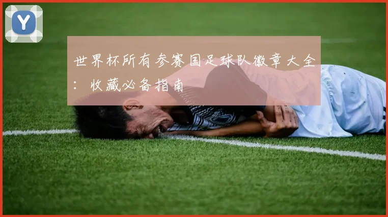 世界杯所有参赛国足球队徽章大全：收藏必备指南