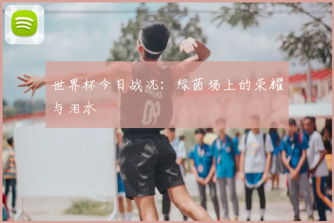 世界杯今日战况：绿茵场上的荣耀与泪水