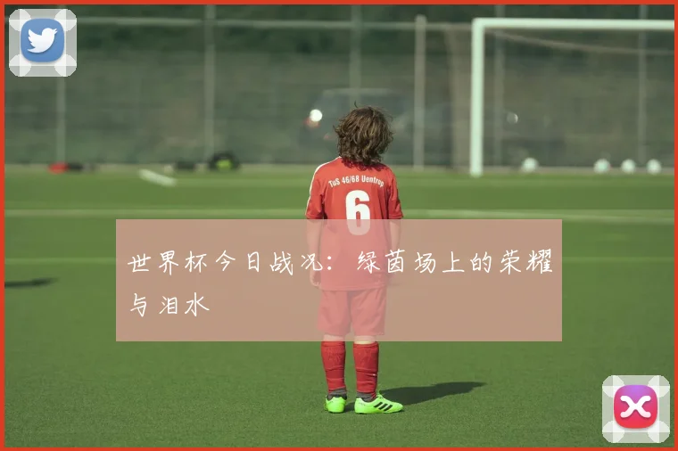 世界杯今日战况:绿茵场上的荣耀与泪水