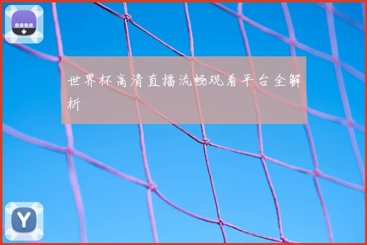 世界杯高清直播流畅观看平台全解析